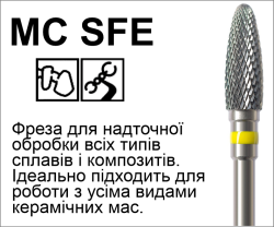 MC SFE